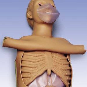 CPR simulátor, torzo