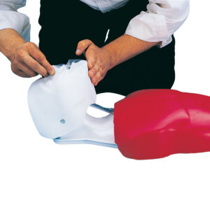 resuscitačné torzo Buddy