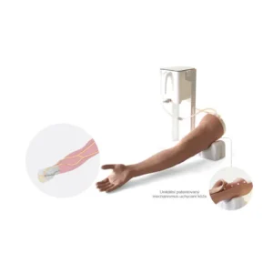 model-paze-pro-nacvik-odberu-krvi